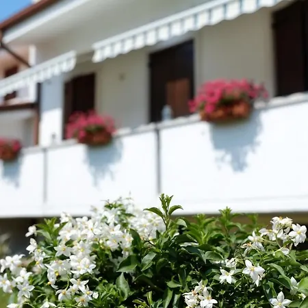 Casa de hóspedes Bouganville